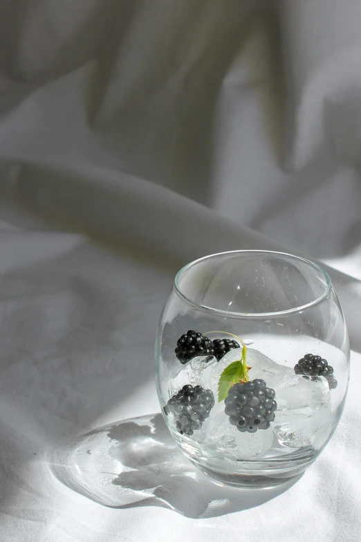 a glass of water with some blackberries in it, inspired by Gustave Caillebotte, unsplash, photorealism, ilustration, white tablecloth, made of ice, anna nikonova