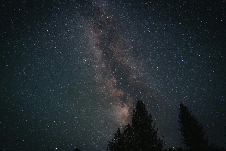 a night sky filled with lots of stars, unsplash contest winner, 🌲🌌, central california, completely dark, brown