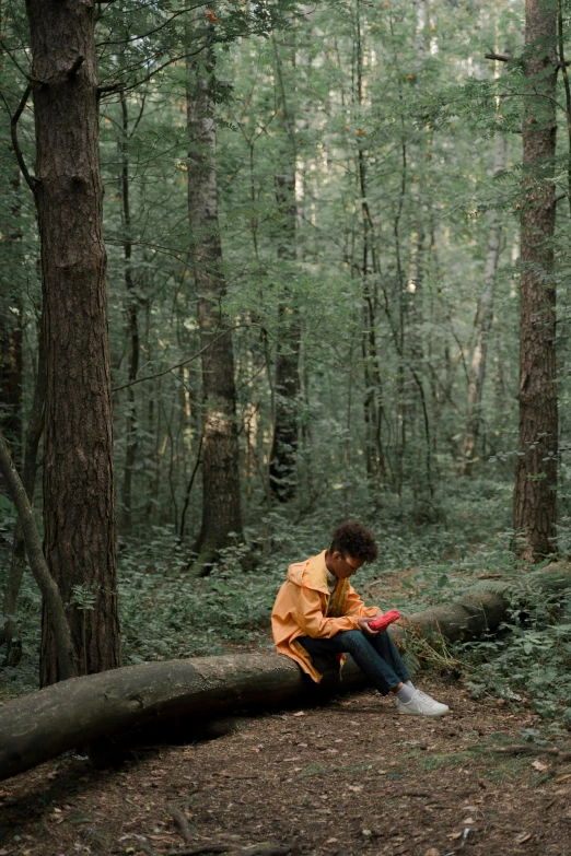 a person sitting on a log in the woods, reading, ((trees)), pensive, fuji film