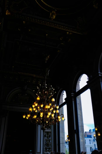 a chandelier hanging from the ceiling of a building, inspired by Marie-Gabrielle Capet, vanitas, musee d'orsay 8 k, dark library, looking off to the side, dramatic lighting !n-9