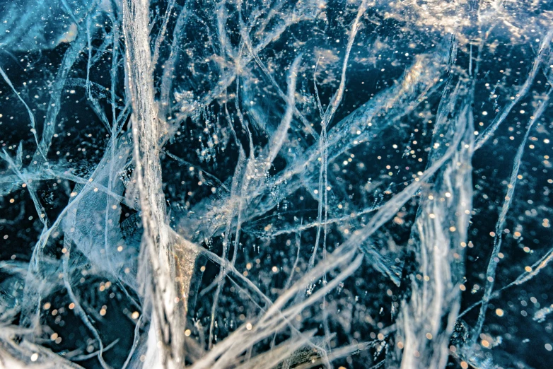 a frozen tree in the middle of a body of water, a microscopic photo, pexels, abstract expressionism, plastic and fabric, portrait image