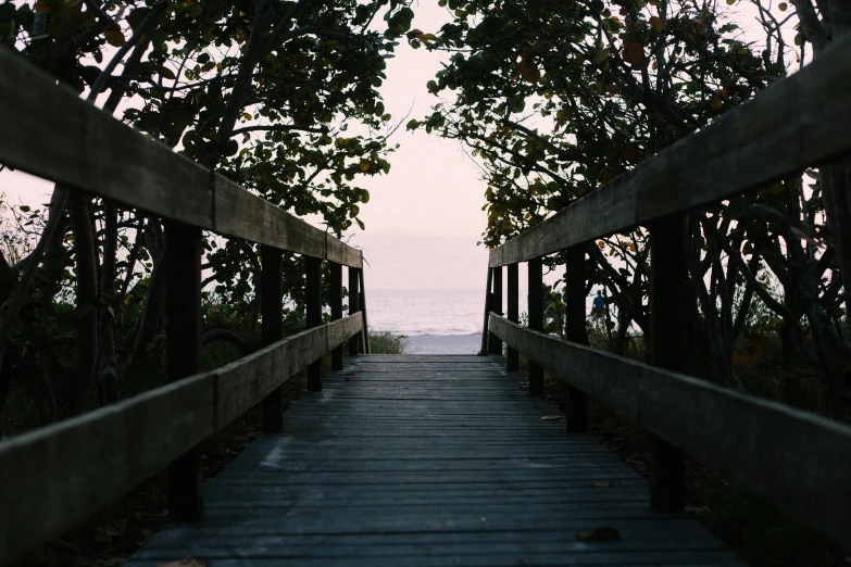 a wooden walkway leads down to the beach, unsplash, happening, kodak film photo, beach trees in the background, it's getting dark, album