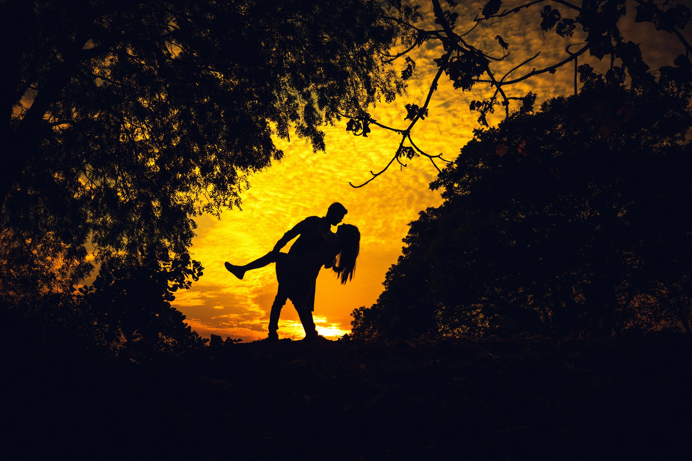 a couple kissing under a tree at sunset, pexels contest winner, thumbnail, silhouette :7, golden glow, sydney park