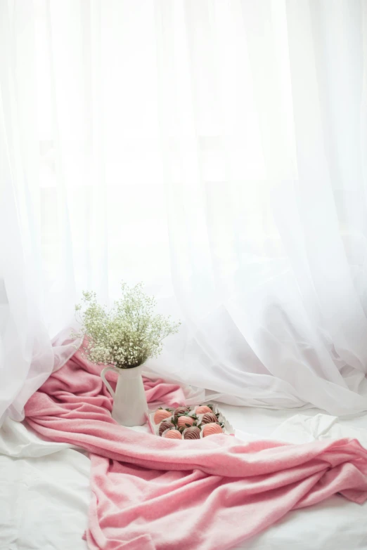 a pink blanket sitting on top of a bed next to a window, by Basuki Abdullah, unsplash contest winner, romanticism, in front of white back drop, sweets, soft backlight, white splendid fabric