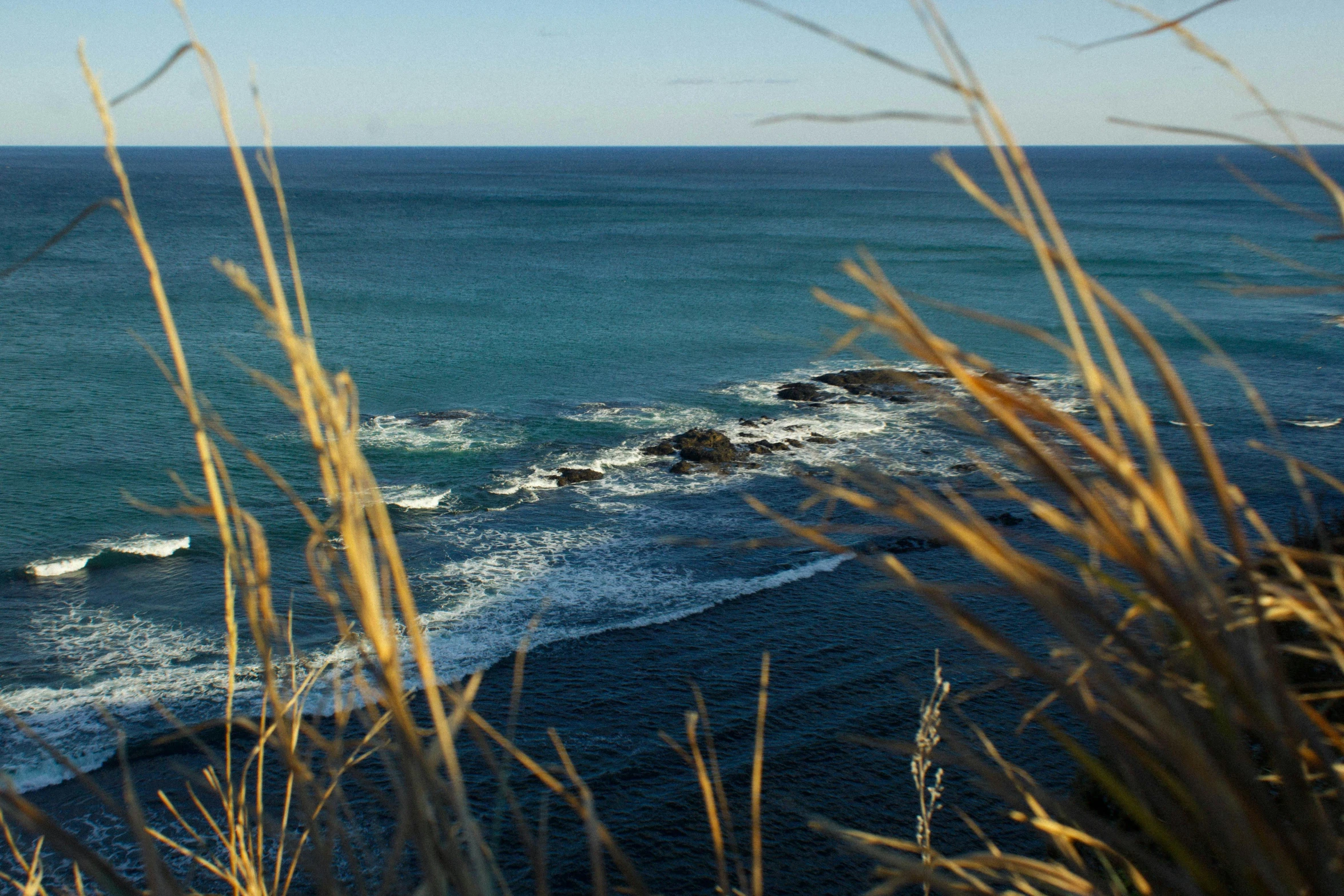 a view of the ocean from the top of a hill, by Peter Churcher, long thick grass, bulli, masami suda, seashore