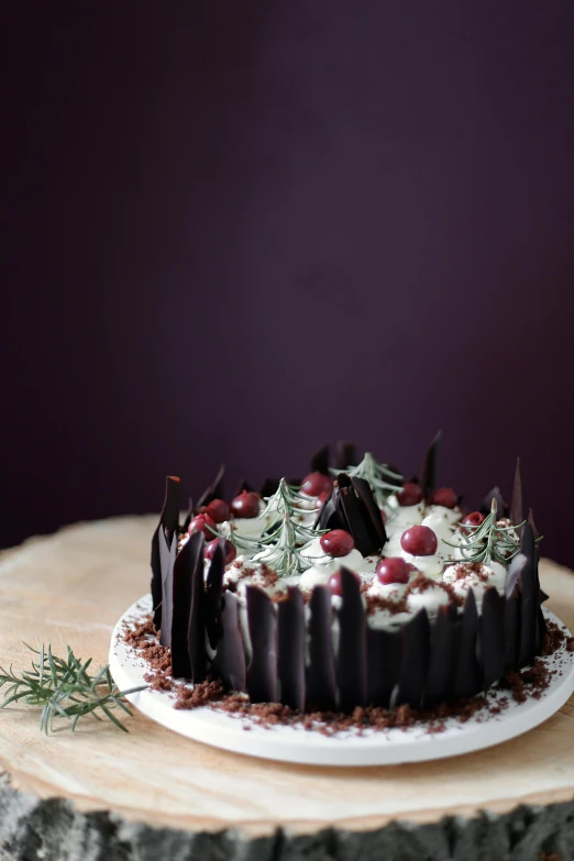 a cake sitting on top of a white plate, dark forest theme, holiday season, full product shot, spire