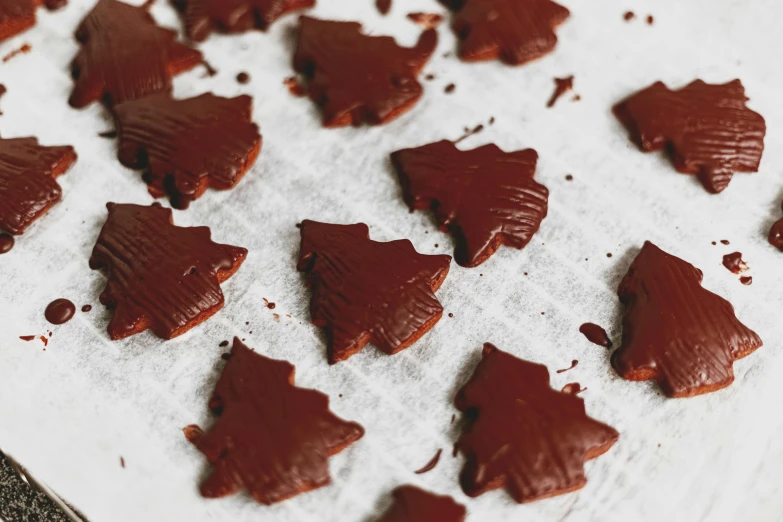 several pieces of chocolate sitting on top of a sheet of paper, by Emma Andijewska, les nabis, christmas tree, partially glazed, no cropping, thumbnail