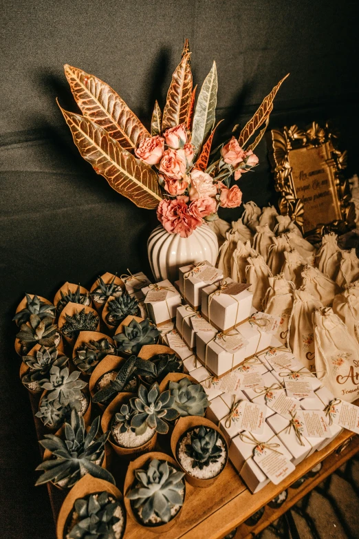 a wooden table topped with lots of succulents, unsplash, art nouveau, cigarrette boxes at the table, high angle close up shot, middle eastern style vendors, with dramatic lighting