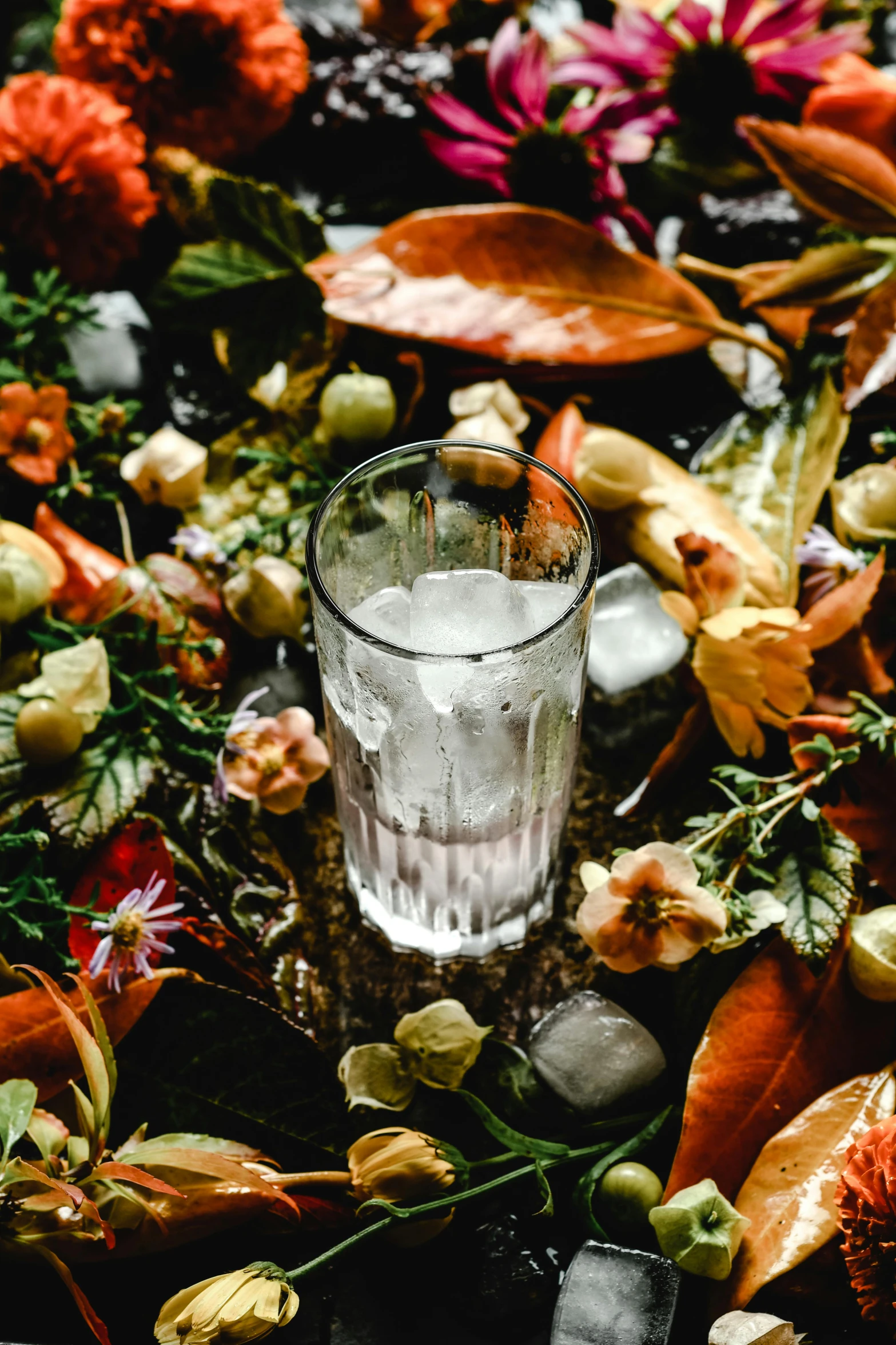 a glass of water sitting on top of a pile of flowers, a still life, pexels, renaissance, fall season, ice, high quality photo, ignant