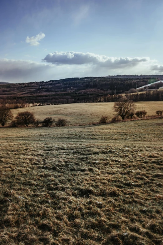 a man flying a kite on top of a lush green field, by Peter Churcher, land art, winter photograph, today\'s featured photograph 4k, distant valley, medieval french landscape