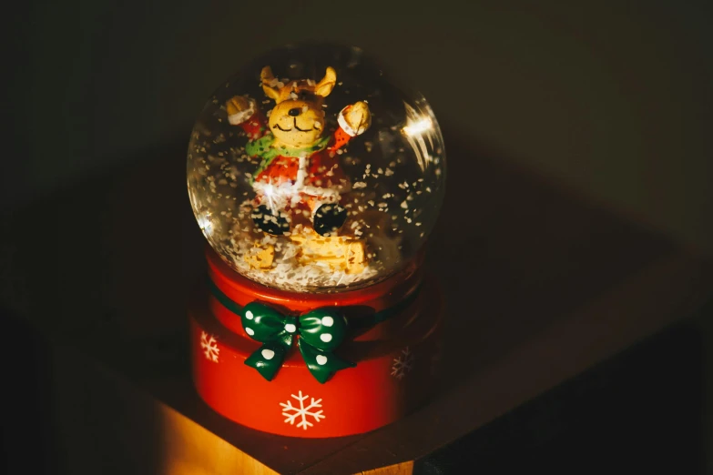 a snow globe sitting on top of a wooden table, wearing festive clothing, profile image, light show, red nose