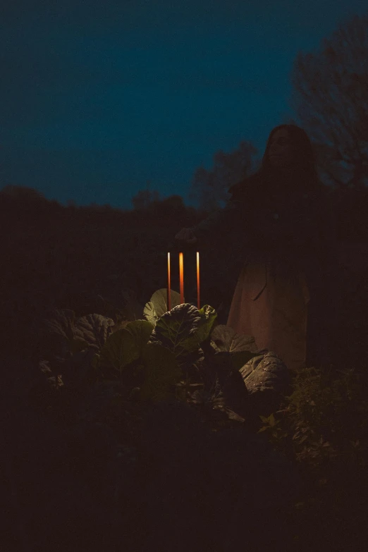 a couple of candles sitting on top of a lush green field, an album cover, by Attila Meszlenyi, unsplash, conceptual art, at the graveyard at midnight, profile picture, vegetables on table and candle, dark shadowy surroundings