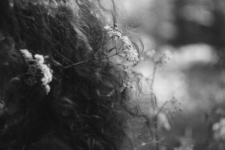 a black and white photo of a woman with flowers in her hair, by Kati Horna, unsplash, romanticism, abstract detail, brown curly hair, amidst nature, medium format. soft light