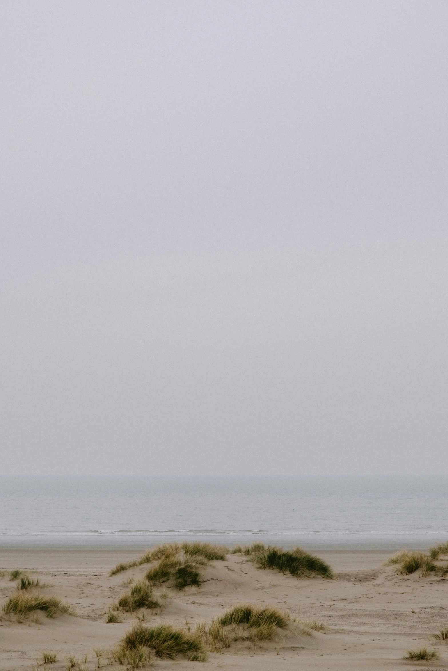 a man flying a kite on top of a sandy beach, by Andries Stock, minimalism, observed from afar in the fog, long grass in the foreground, portrait n - 9, distant