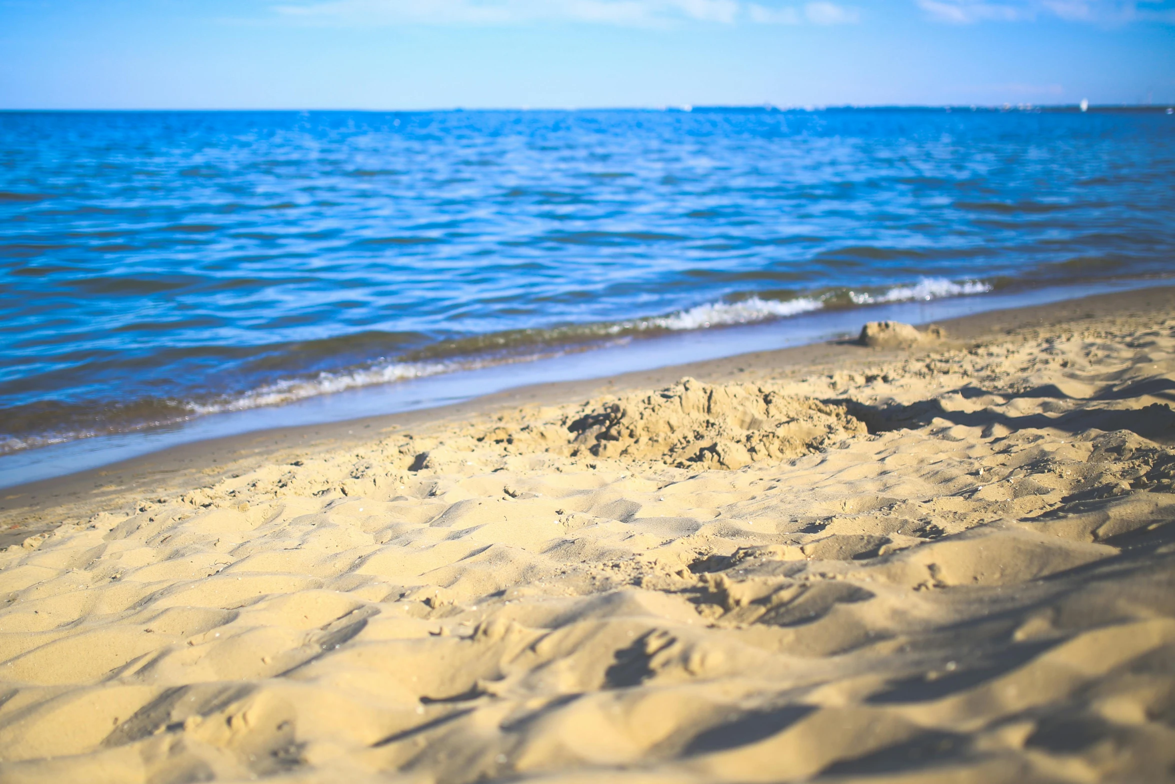 a dog laying on top of a sandy beach next to the ocean, a tilt shift photo, by Julia Pishtar, unsplash, a photo of a lake on a sunny day, from wheaton illinois, footprints in the sand, sandcastle