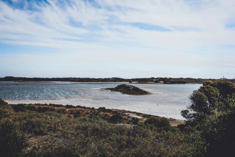 a body of water surrounded by grass and trees, an album cover, unsplash, australian beach, inlets, hziulquoigmnzhah, view