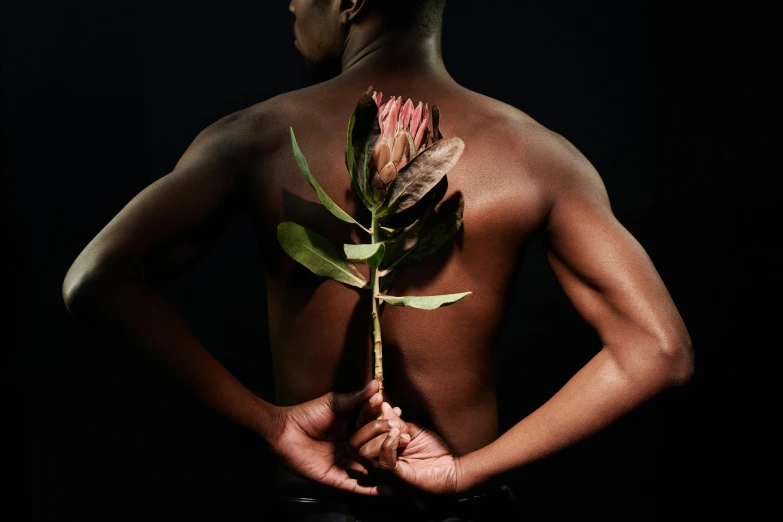 a man holding a flower in his hands, an album cover, by Jessie Alexandra Dick, trending on unsplash, afrofuturism, fleshy musculature, black human spine, manuka, feathers growing out of skin