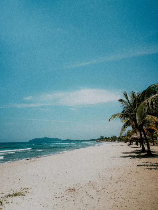 a beach filled with lots of palm trees next to the ocean, pexels contest winner, sumatraism, 💋 💄 👠 👗, grainy, clear blue skies, thumbnail