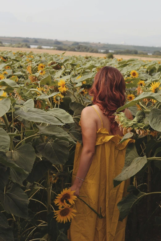 a woman standing in a field of sunflowers, inspired by Elsa Bleda, renaissance, instagram picture, ( redhead, flowy, overlooking