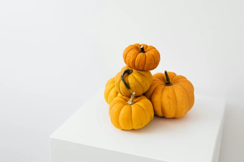 a pile of pumpkins sitting on top of a white table, a still life, unsplash, background image, product design shot, profile image, viewed from the side