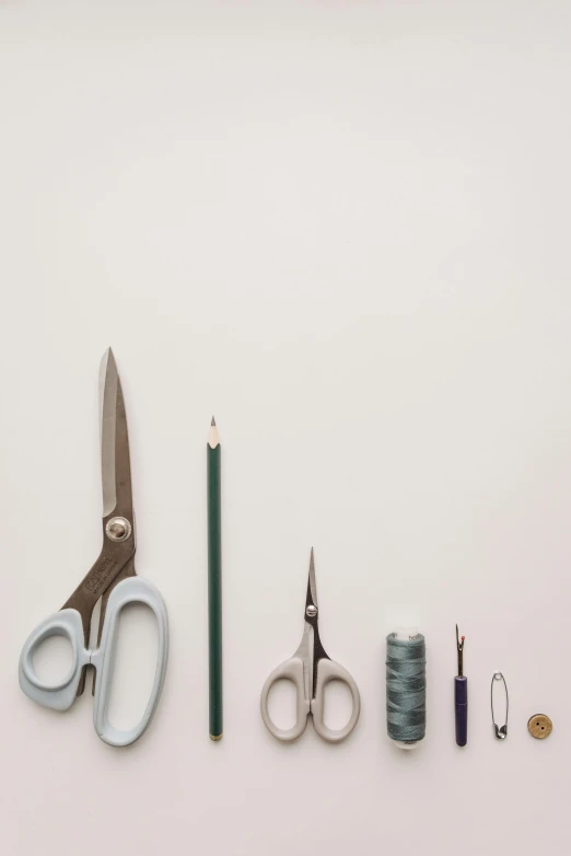 a pair of scissors sitting on top of a table, by Jakob Emanuel Handmann, postminimalism, various sizes, cords, gray, 6