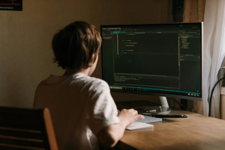 a person sitting at a desk in front of a computer, future coder looking on, at home, javascript enabled, brown
