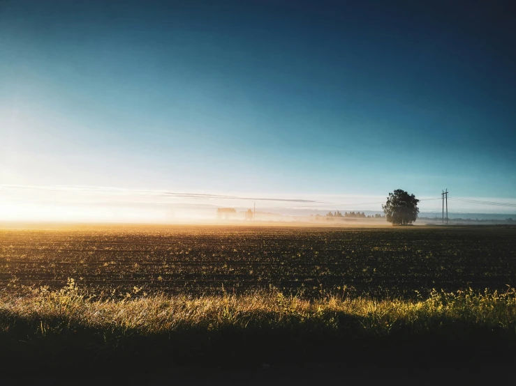 a field with a few trees in the distance, by Karl Buesgen, unsplash contest winner, early morning light, multiple stories, farmland, cloudless sky