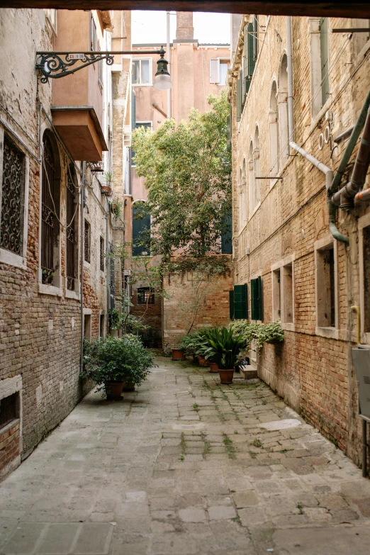 a narrow alley with brick buildings and potted plants, viridian and venetian red, photograph taken in 2 0 2 0, fan favorite, landscape photo