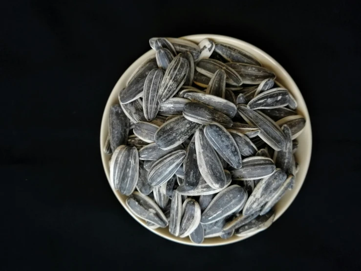 a bowl of sunflower seeds on a black background, a portrait, pixabay, silver dechroic details, striped, 4 0 0 mm, on a pale background