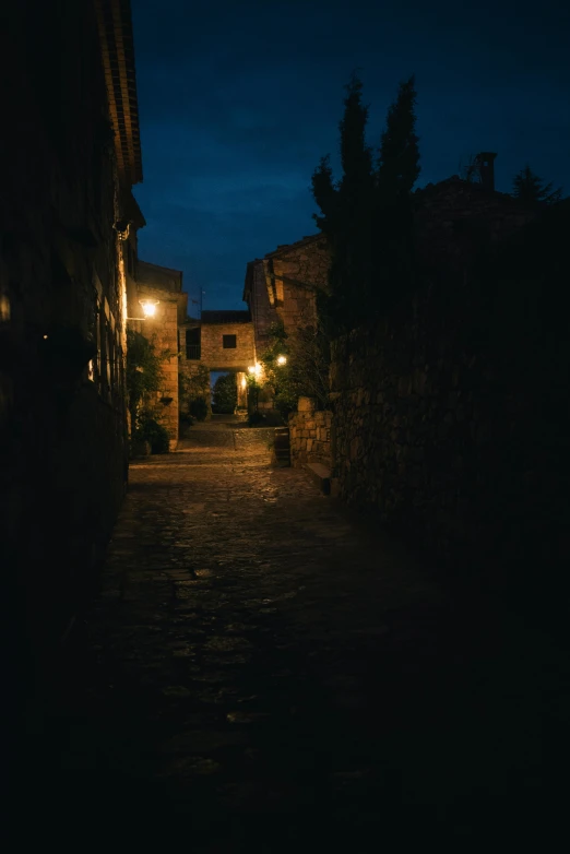 a couple of people walking down a street at night, an album cover, by Giuseppe Avanzi, unsplash contest winner, renaissance, secretly on a village, calm evening, mysterious exterior, old village