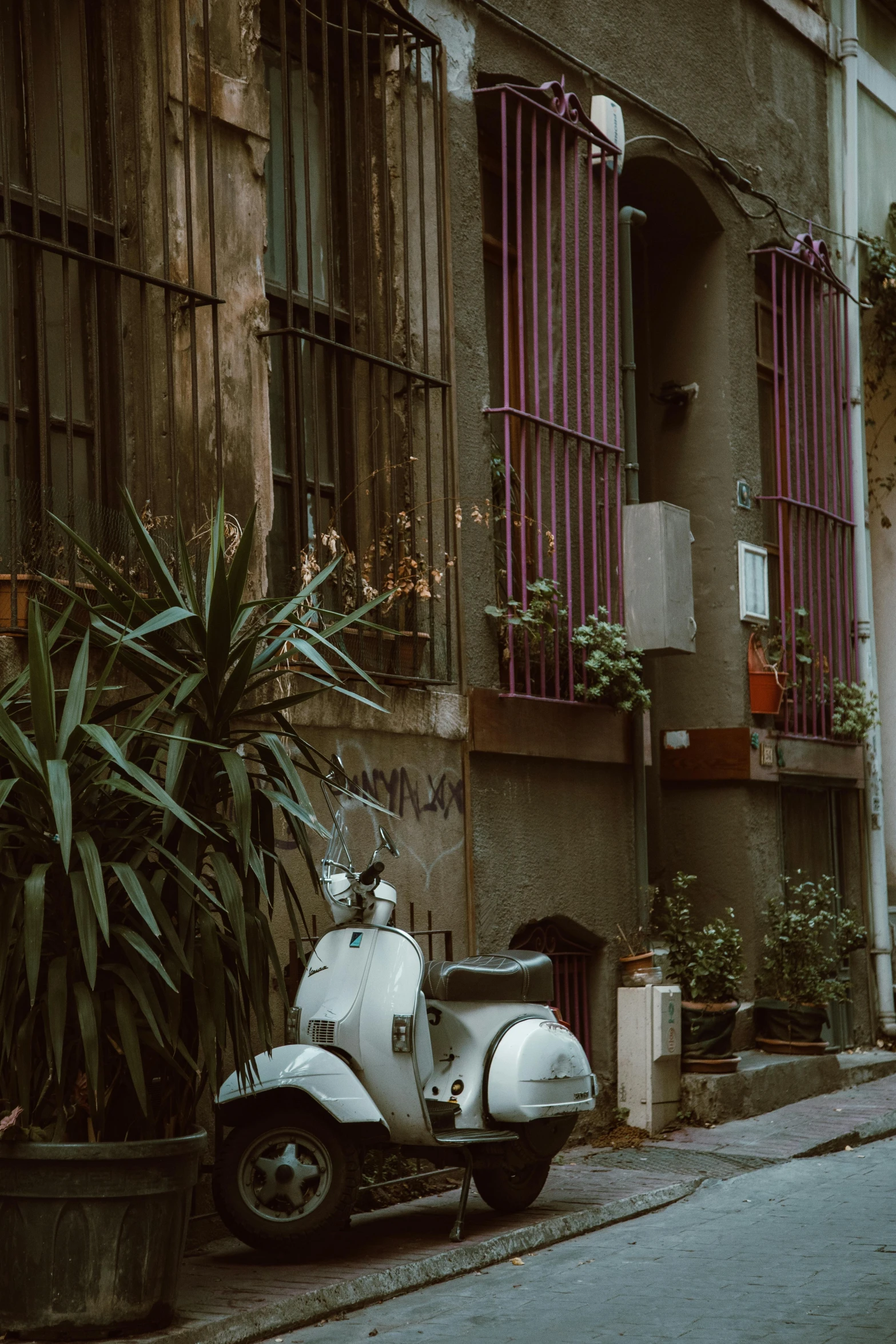 a motor scooter parked on the side of a street, inspired by Elsa Bleda, pexels contest winner, building cover with plant, gothic quarter, damascus, vintage aesthetic