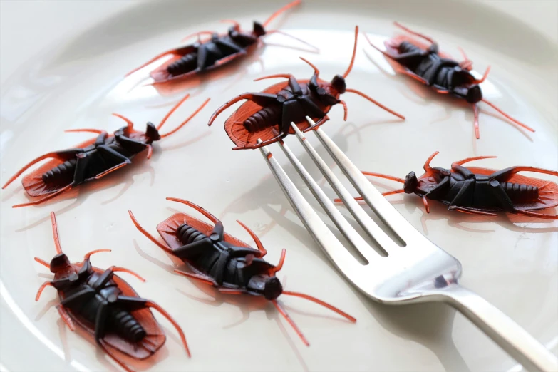 a close up of a fork on a plate with bugs on it, an album cover, pexels contest winner, photorealism, violet cockroach, mini model, fishing, ready to eat