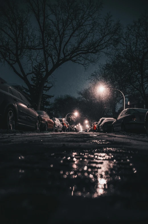 cars parked on the side of a street at night, pexels contest winner, realism, moonlight snowing, oily puddles, a park, wide low angle