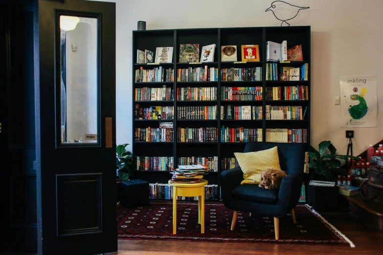 a living room filled with furniture and lots of books, a photo, by Julia Pishtar, small hipster coffee shop, a cat sitting in a chair, profile image, sydney hanson