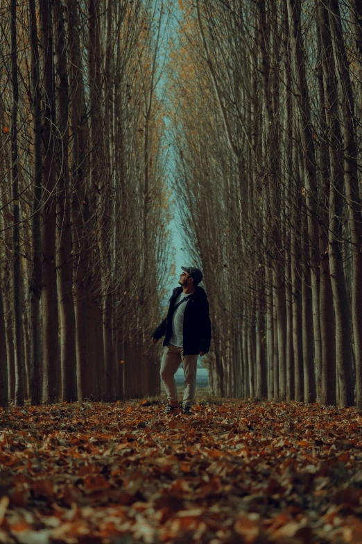 a man standing in the middle of a forest, an album cover, unsplash contest winner, movie still 8 k, autum, ((trees)), street photo