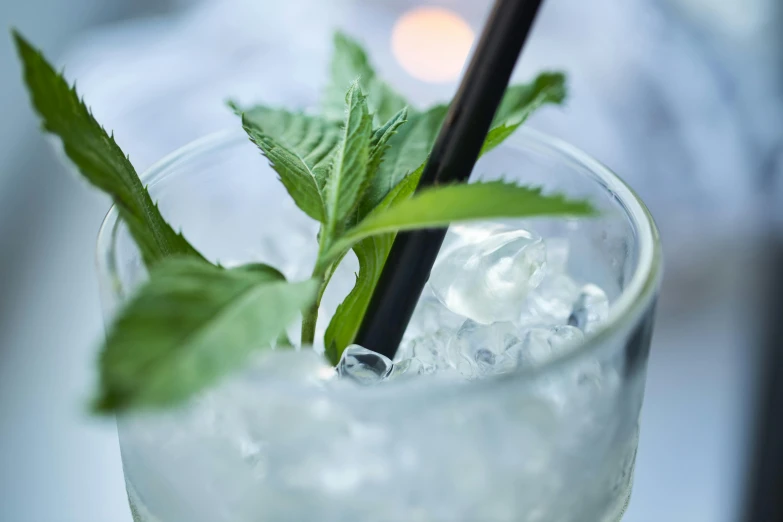 a close up of a drink in a glass with a straw, unsplash, renaissance, mint leaves, pale greens and whites, night life, white