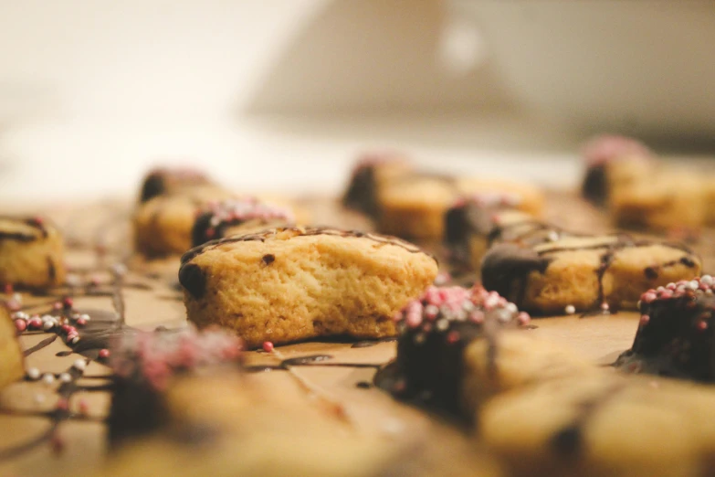 a bunch of cookies sitting on top of a table, a tilt shift photo, by Emma Andijewska, pexels, rectangle, grain”