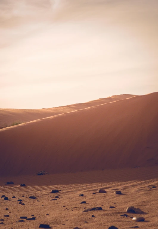 a person riding a horse in the desert, by Daniel Seghers, trending on unsplash, les nabis, redscale photography, sand dune, soft light - n 9, tilt shift”