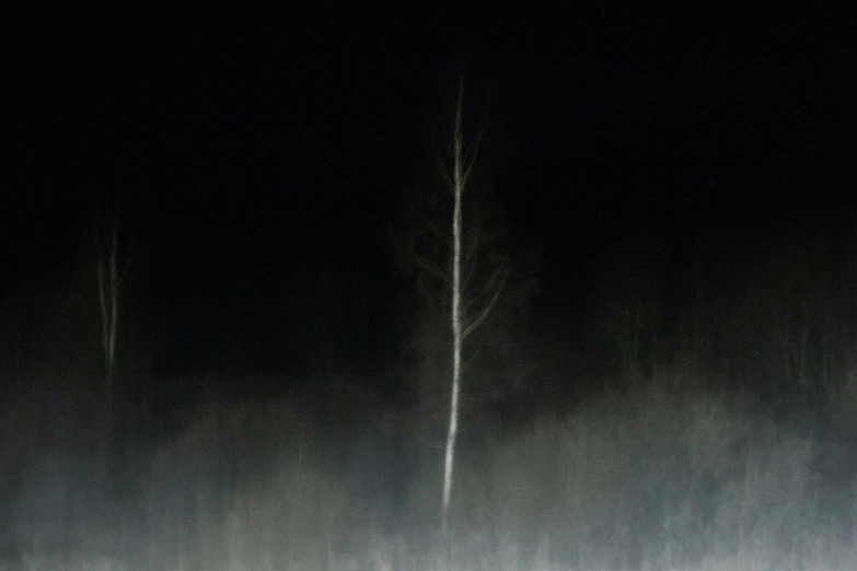 a man riding a snowboard down a snow covered slope, a minimalist painting, inspired by Jan Rustem, flickr, tonalism, lightening tree, standing with a black background, archival pigment print, birch