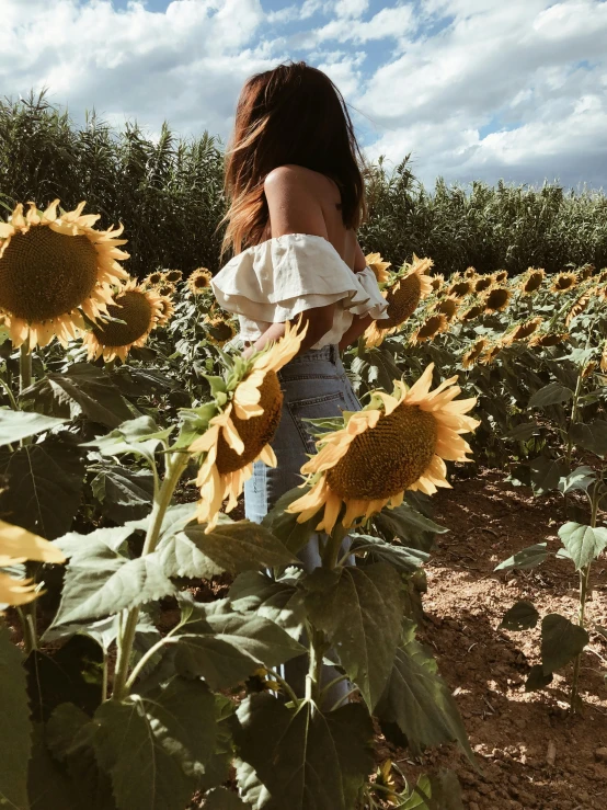 a woman standing in a field of sunflowers, a picture, by Robbie Trevino, trending on unsplash, renaissance, soft devil queen madison beer, showing her shoulder from back, in spain, 🤬 🤮 💕 🎀