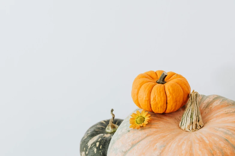 a couple of pumpkins sitting on top of each other, by Carey Morris, trending on unsplash, visual art, background image, studio photo, on a pale background, multiple stories