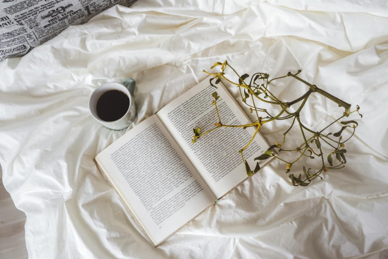 an open book sitting on top of a bed next to a cup of coffee, a portrait, by Lucia Peka, pexels contest winner, romanticism, white bed, full-body, then another, white and gold kintsugi