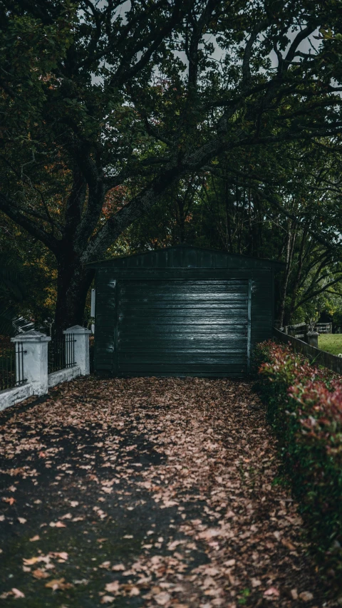 a driveway that has fallen leaves on the ground, an album cover, pexels contest winner, car garage, today\'s featured photograph 4k, dark enclosed, suburban garden