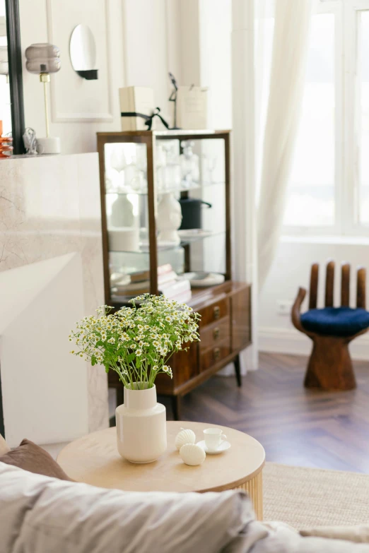 a living room filled with furniture and a fire place, inspired by Constantin Hansen, unsplash, light and space, vase with flowers, sun flare, wooden cabinet, nate berkus