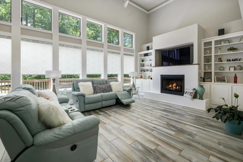 a living room filled with furniture and a fire place, light and space, soft grey and blue natural light, majestic forest grove, shot with canon eoa 6 d mark ii, award winning masterpiece photo