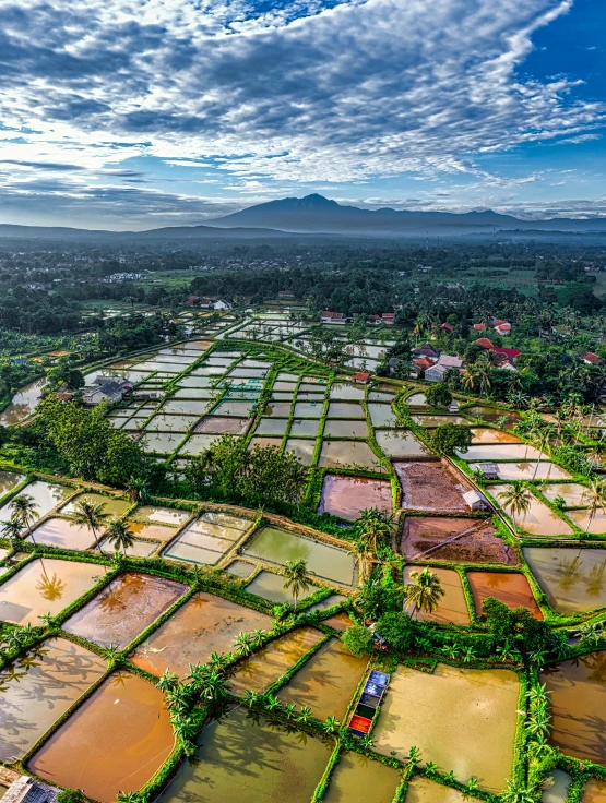 an aerial view of rice fields with mountains in the background, by Julia Pishtar, square, panoramic view, indonesia, above lush garden and hot spring