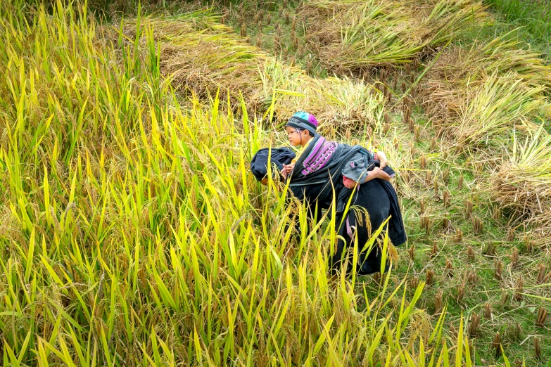 a woman sitting on top of a lush green field, local people chasing to attack, avatar image, ethnography, thumbnail