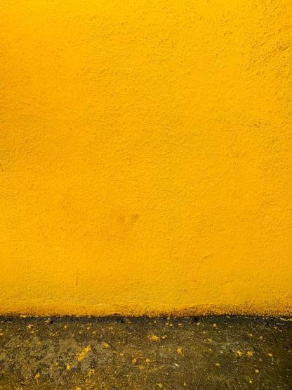 a fire hydrant in front of a yellow wall, an album cover, trending on unsplash, postminimalism, pigment textures, background image, wall ], location ( favela _ wall )