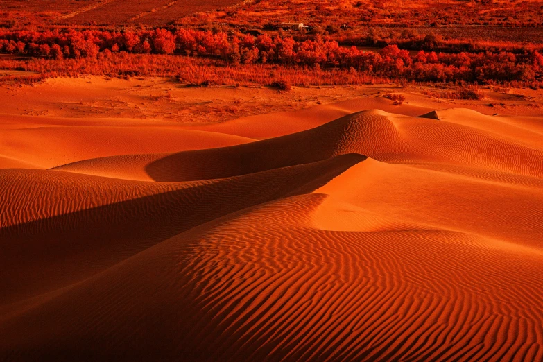 a desert with sand dunes and trees in the background, pexels contest winner, land art, red and orange glow, red river, panels, coral red