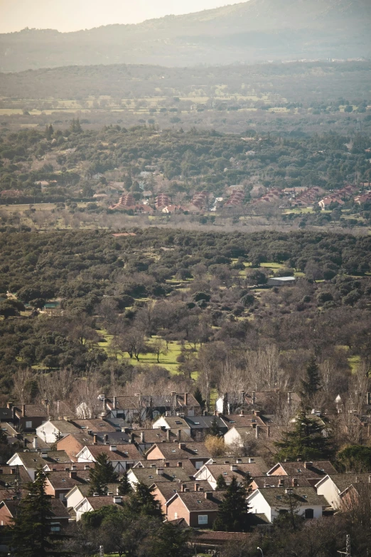 a man flying a kite on top of a lush green field, a tilt shift photo, by Julian Allen, happening, suburban neighborhood, lots of oak and olive trees, helicopter footage over city, napa